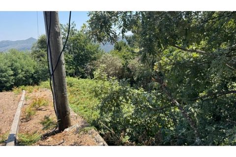 Terra a Baiao, Porto, Baiao - € 57.000 | Ref: MC02822 - foto 29