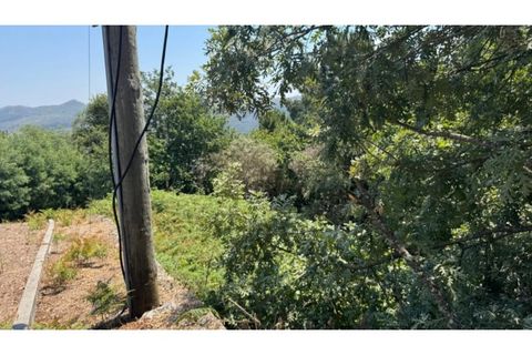 Terra a Baiao, Porto, Baiao - € 57.000 | Ref: MC02822 - foto 30