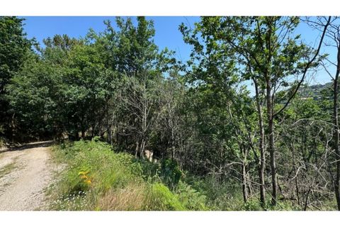 Terreno en Baiao, Porto, Baiao - € 27.000 | Ref: MC06749 - photo 1