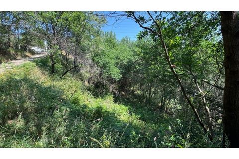 Terreno en Baiao, Porto, Baiao - € 27.000 | Ref: MC06749 - photo 5