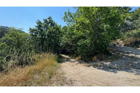 Terreno en Baiao, Porto, Baiao - € 27.000 | Ref: MC06749 - photo 6