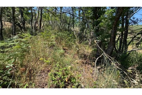 Terreno en Baiao, Porto, Baiao - € 27.000 | Ref: MC06749 - photo 8