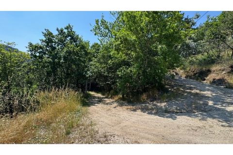 Terreno en Baiao, Porto, Baiao - € 27.000 | Ref: MC06749 - photo 18