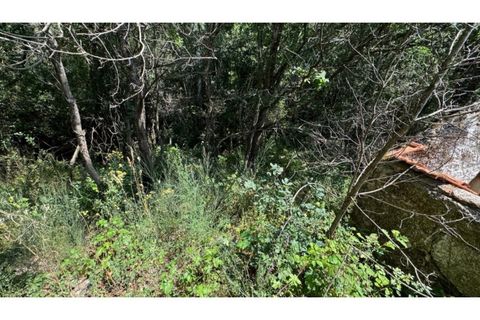 Terreno en Baiao, Porto, Baiao - € 27.000 | Ref: MC06749 - photo 23
