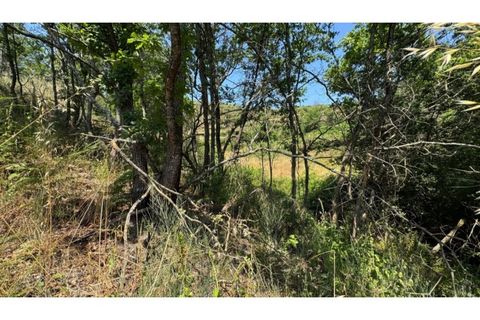 Terreno en Baiao, Porto, Baiao - € 27.000 | Ref: MC06749 - photo 25