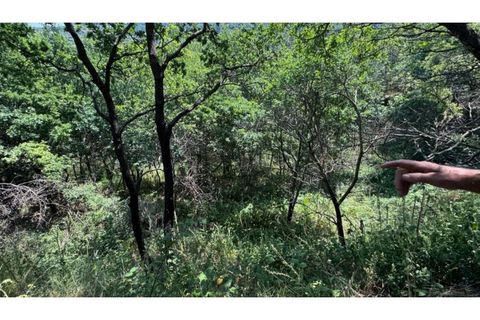 Terreno en Baiao, Porto, Baiao - € 27.000 | Ref: MC06749 - photo 29
