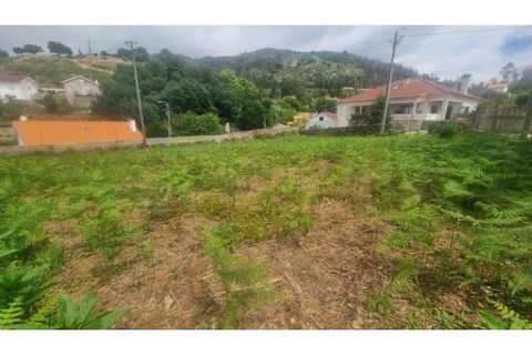 Helårsgrund i Caminha, Viana do Castelo, Caminha - € 130.000 | Ref: C02983 - foto 8