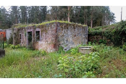 Helårsgrund i Penafiel, Porto, Penafiel - € 85.000 | Ref: VC05300 - foto 4