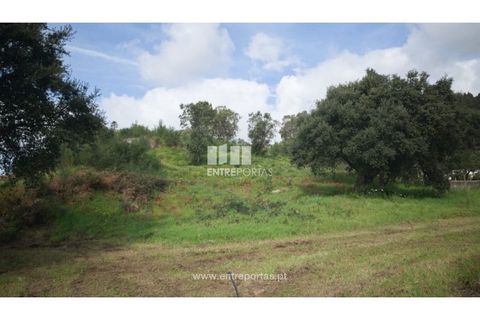 Helårsgrund i Viana do Castelo, Viana do Castelo, Viana do Castelo - € 250.000 | Ref: VCC14042 - foto 3
