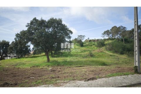 Helårsgrund i Viana do Castelo, Viana do Castelo, Viana do Castelo - € 250.000 | Ref: VCC14042 - foto 8