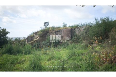 Helårsgrund i Viana do Castelo, Viana do Castelo, Viana do Castelo - € 250.000 | Ref: VCC14042 - foto 9