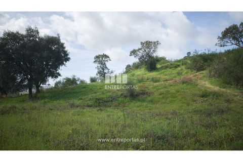 Helårsgrund i Viana do Castelo, Viana do Castelo, Viana do Castelo - € 250.000 | Ref: VCC14042 - foto 10