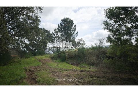 Helårsgrund i Viana do Castelo, Viana do Castelo, Viana do Castelo - € 250.000 | Ref: VCC14042 - foto 12