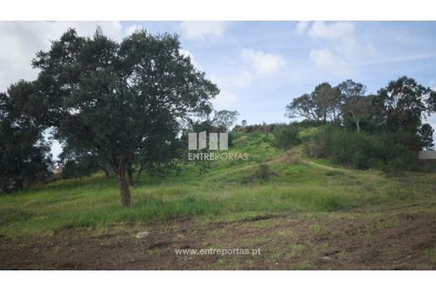 Helårsgrund i Viana do Castelo, Viana do Castelo, Viana do Castelo - € 250.000 | Ref: VCC14042 - foto 16