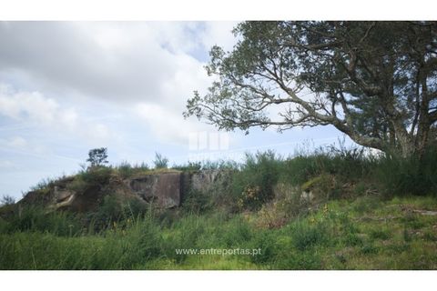 Helårsgrund i Viana do Castelo, Viana do Castelo, Viana do Castelo - € 250.000 | Ref: VCC14042 - foto 22