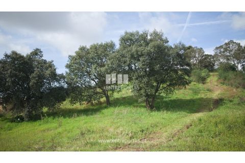 Helårsgrund i Viana do Castelo, Viana do Castelo, Viana do Castelo - € 250.000 | Ref: VCC14042 - foto 24