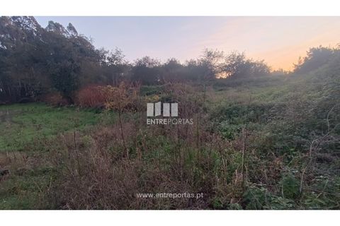 Helårsgrund i Penafiel, Porto, Penafiel - € 67.500 | Ref: PV10236 - foto 2