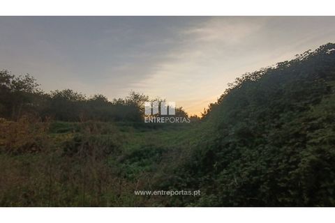 Helårsgrund i Penafiel, Porto, Penafiel - € 67.500 | Ref: PV10236 - foto 3