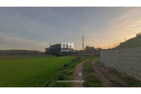 Helårsgrund i Penafiel, Porto, Penafiel - € 67.500 | Ref: PV10236 - foto 4