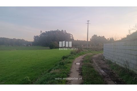 Helårsgrund i Penafiel, Porto, Penafiel - € 67.500 | Ref: PV10236 - foto 5