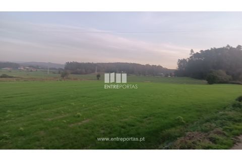 Helårsgrund i Penafiel, Porto, Penafiel - € 67.500 | Ref: PV10236 - foto 6