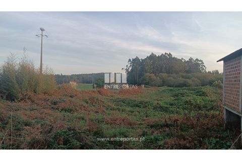 Helårsgrund i Penafiel, Porto, Penafiel - € 67.500 | Ref: PV10236 - foto 7