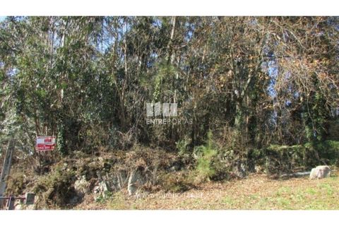 Helårsgrund i Penafiel, Porto, Penafiel - € 120.000 | Ref: VC01457 - foto 3