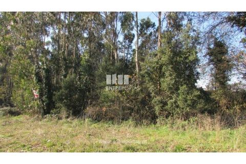 Helårsgrund i Penafiel, Porto, Penafiel - € 120.000 | Ref: VC01457 - foto 4