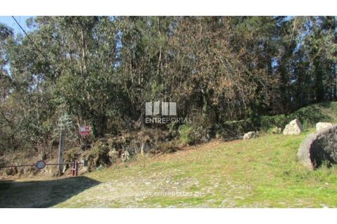 Helårsgrund i Penafiel, Porto, Penafiel - € 120.000 | Ref: VC01457 - foto 6