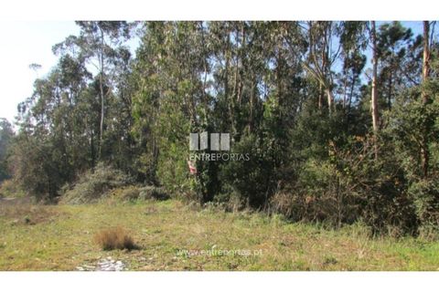 Helårsgrund i Penafiel, Porto, Penafiel - € 120.000 | Ref: VC01457 - foto 9