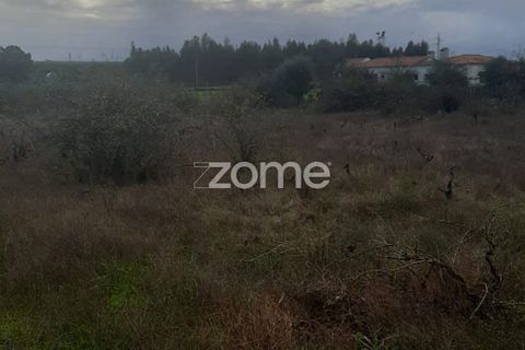 Helårsgrund i Palmela, Setubal, Palmela - € 80.000 | Ref: ZMPT583924 - foto 4