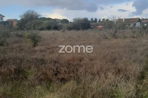 Helårsgrund i Palmela, Setubal, Palmela - € 80.000 | Ref: ZMPT583924 - foto 6