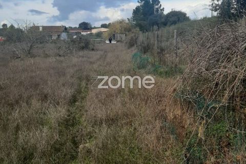 Helårsgrund i Palmela, Setubal, Palmela - € 80.000 | Ref: ZMPT583924 - foto 7