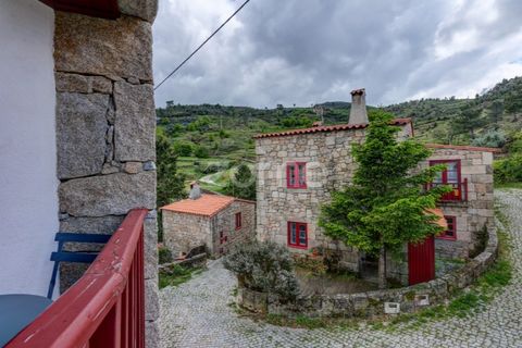 Farm i Seia, Guarda, Seia - € 560.000 | Ref: ZMPT586665 - foto 48