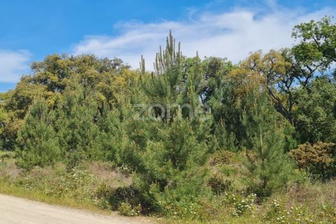 Helårsgrund i Palmela, Setubal, Palmela - € 50.000 | Ref: ZMPT566202 - foto 3