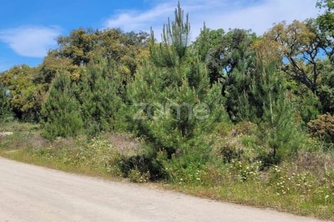 Helårsgrund i Palmela, Setubal, Palmela - € 50.000 | Ref: ZMPT566202 - foto 4