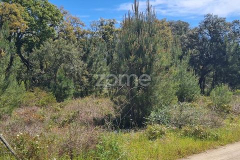 Helårsgrund i Palmela, Setubal, Palmela - € 50.000 | Ref: ZMPT566202 - foto 5