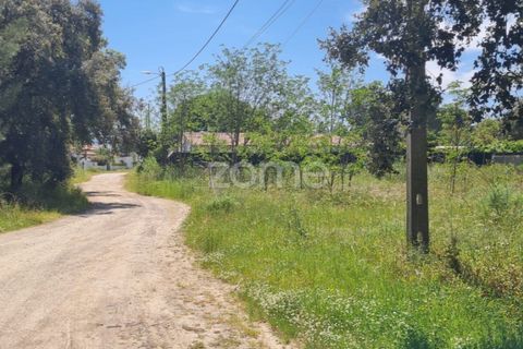 Helårsgrund i Palmela, Setubal, Palmela - € 50.000 | Ref: ZMPT566202 - foto 6