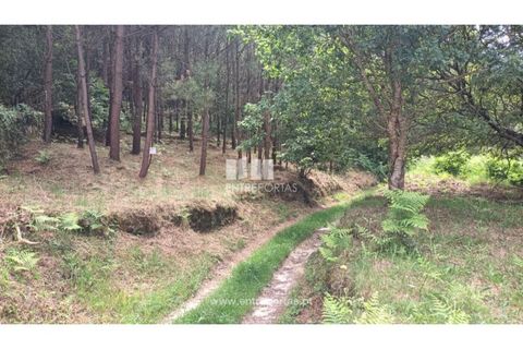 Grond in Areosa, Viana do Castelo, Areosa - € 59.000 | Ref: VCM14429 - foto 26