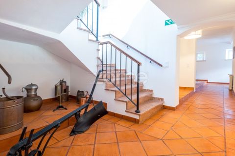 Villa i Sintra, Lisbon, Sintra - € 2.480.000 | Ref: ZMPT562575 - foto 22