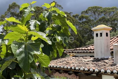 Villa i Sintra, Lisbon, Sintra - € 2.480.000 | Ref: ZMPT562575 - foto 39