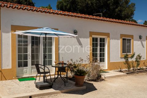 Villa i Sintra, Lisbon, Sintra - € 2.480.000 | Ref: ZMPT562575 - foto 48