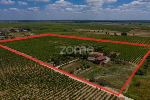 Landejendom i Palmela, Setubal, Palmela - € 800.000 | Ref: ZMPT539944 - foto 1