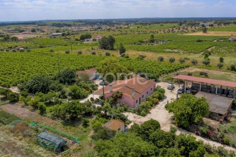 Landejendom i Palmela, Setubal, Palmela - € 800.000 | Ref: ZMPT539944 - foto 2