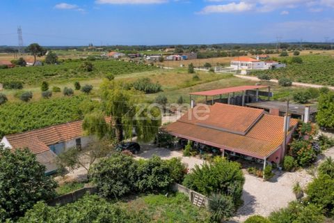 Landejendom i Palmela, Setubal, Palmela - € 800.000 | Ref: ZMPT539944 - foto 3