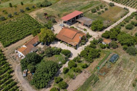 Landejendom i Palmela, Setubal, Palmela - € 800.000 | Ref: ZMPT539944 - foto 4