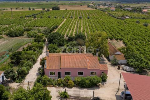 Landejendom i Palmela, Setubal, Palmela - € 800.000 | Ref: ZMPT539944 - foto 5