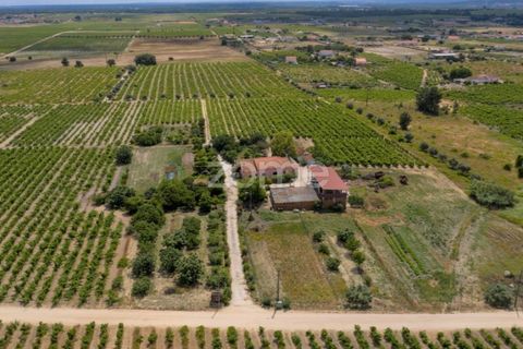 Landejendom i Palmela, Setubal, Palmela - € 800.000 | Ref: ZMPT539944 - foto 6
