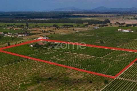 Landejendom i Palmela, Setubal, Palmela - € 800.000 | Ref: ZMPT539944 - foto 9