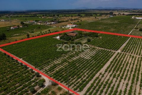Landejendom i Palmela, Setubal, Palmela - € 800.000 | Ref: ZMPT539944 - foto 10